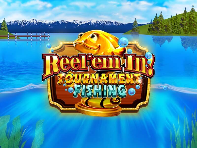 Bônus de Recarga para Veteranos de Slots no 81bet.cc